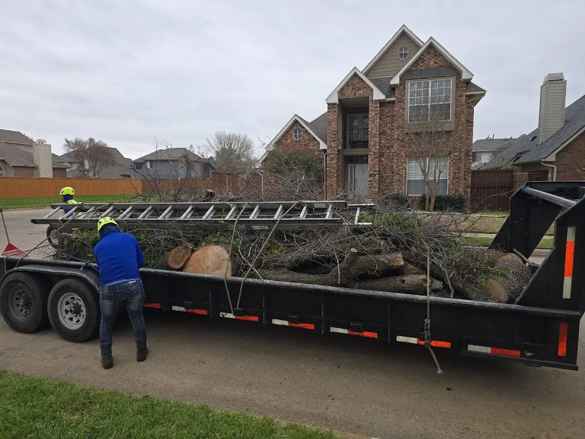 Expert Lot Clearing with proper safety equipment in Rockville